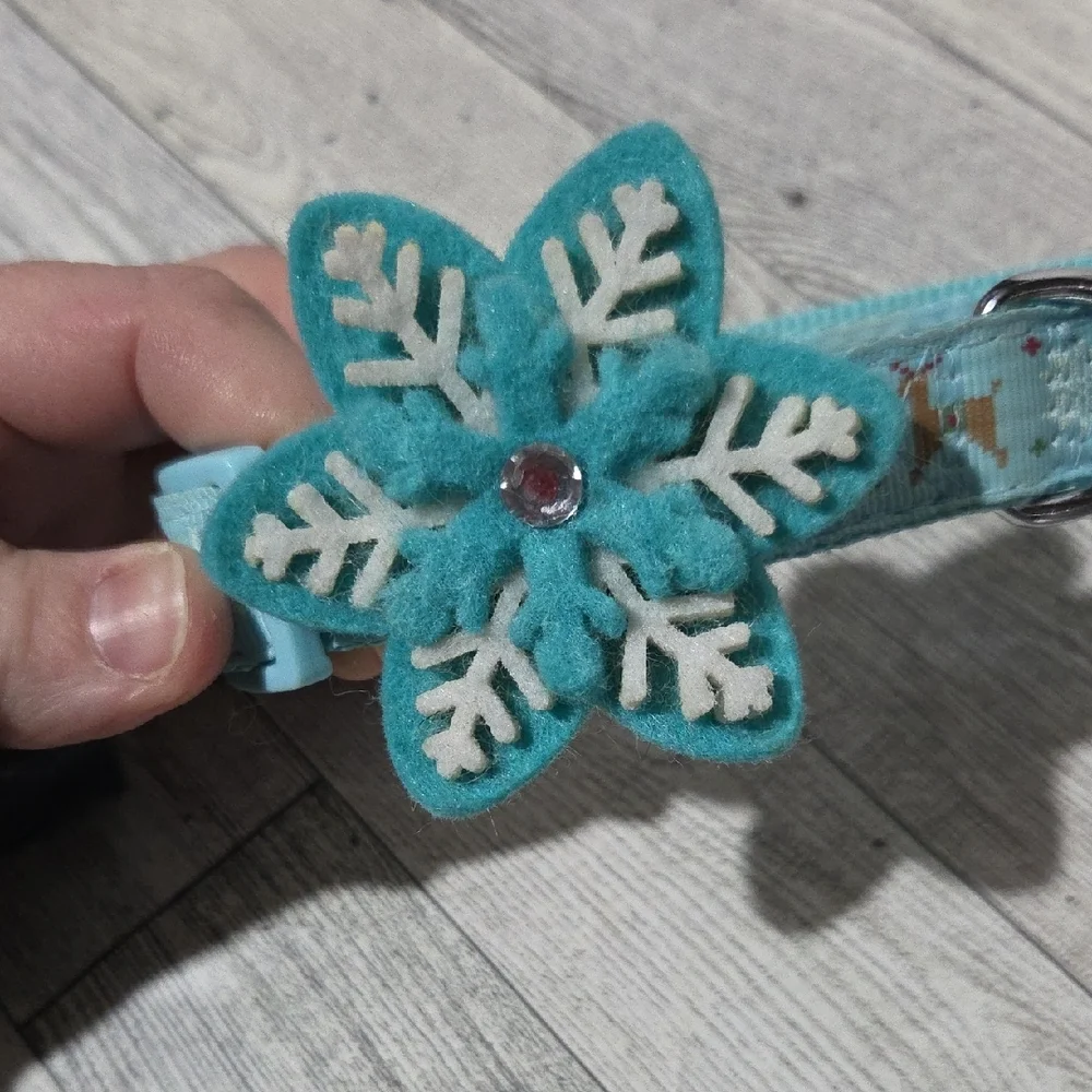 Martha Stewart Turquoise Pet Collar with Snowflake Accent